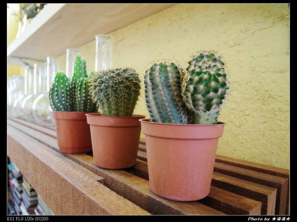 INO Ice:【台中.美食】Ino ice♥每天只限量兩種口味超好吃霜淇淋