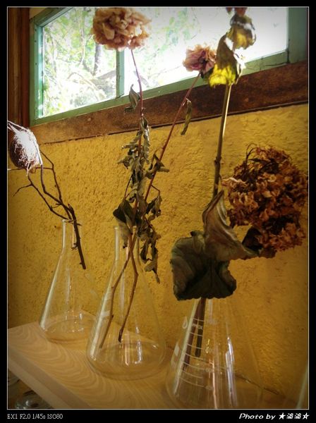 INO Ice:【台中.美食】Ino ice♥每天只限量兩種口味超好吃霜淇淋