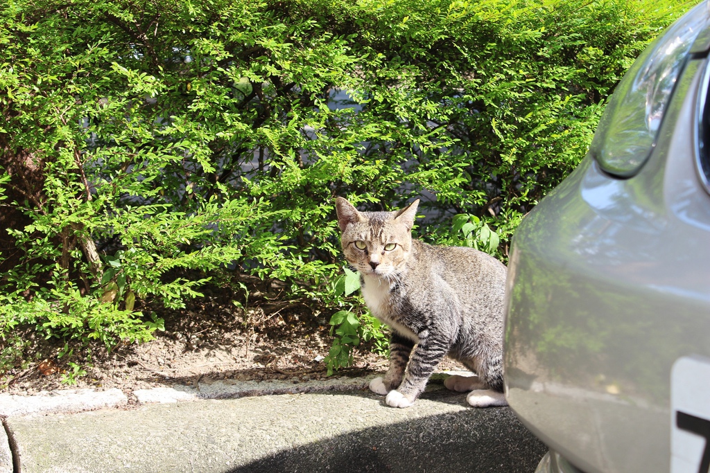 台北晶華欣欣商圈ai house機器人冰淇淋