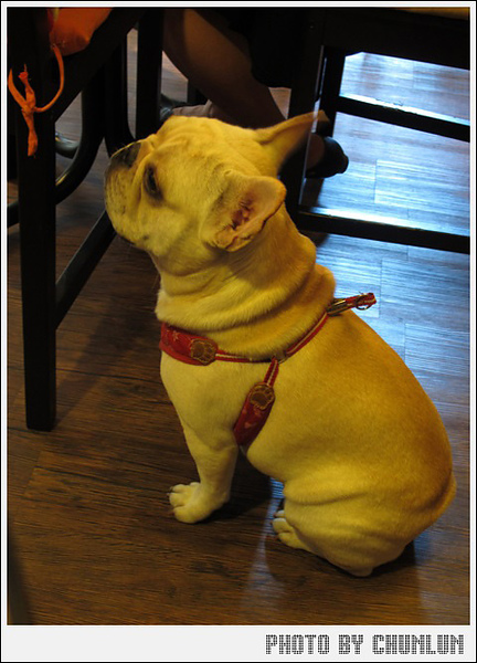 Impronta Cafe 腳印咖啡