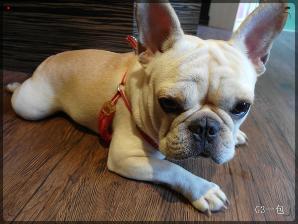 Impronta Cafe 腳印咖啡:【口碑券07】台北晴光商區內適合久坐的早午餐專賣店「Impronta Cafe 腳印咖啡」