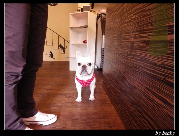 Impronta Cafe 腳印咖啡:品味悠閒好時光~腳印咖啡