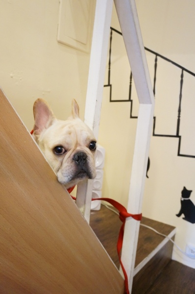 Impronta Cafe 腳印咖啡：讓人忍不住再訪的原因～除了咖啡還有胖虎店長【台北中山區/Impronta Cafe 腳印咖啡】