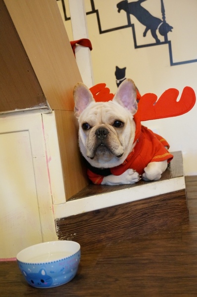 Impronta Cafe 腳印咖啡：讓人忍不住再訪的原因～除了咖啡還有胖虎店長【台北中山區/Impronta Cafe 腳印咖啡】