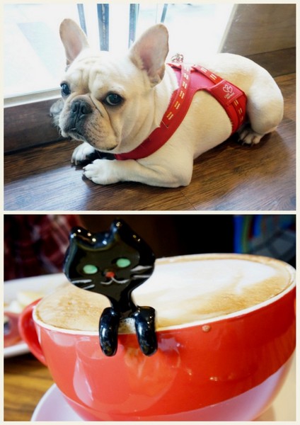 Impronta Cafe 腳印咖啡：讓人忍不住再訪的原因～除了咖啡還有胖虎店長【台北中山區/Impronta Cafe 腳印咖啡】