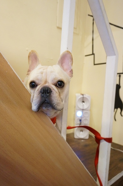 Impronta Cafe 腳印咖啡：讓人忍不住再訪的原因～除了咖啡還有胖虎店長【台北中山區/Impronta Cafe 腳印咖啡】