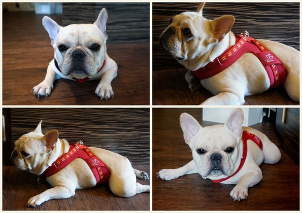 Impronta Cafe 腳印咖啡：讓人忍不住再訪的原因～除了咖啡還有胖虎店長【台北中山區/Impronta Cafe 腳印咖啡】