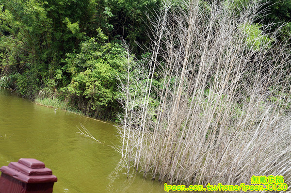 尖山埤江南渡假村：【台南-柳營區】早餐buffetx漆彈廝殺..一起來high all night~《尖山埤江南渡假村》(DAY2)