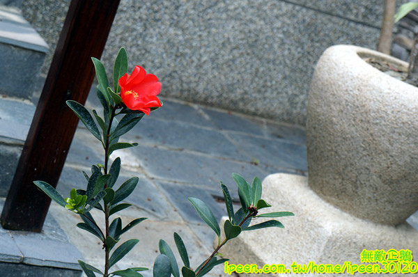 尖山埤江南渡假村：【台南-柳營區】早餐buffetx漆彈廝殺..一起來high all night~《尖山埤江南渡假村》(DAY2)