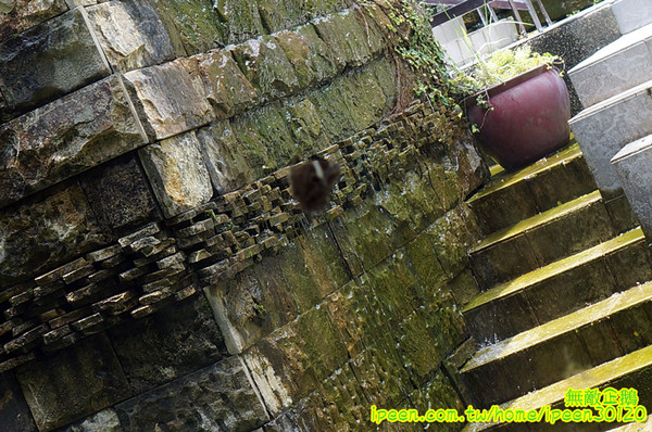 尖山埤江南渡假村：【台南-柳營區】早餐buffetx漆彈廝殺..一起來high all night~《尖山埤江南渡假村》(DAY2)