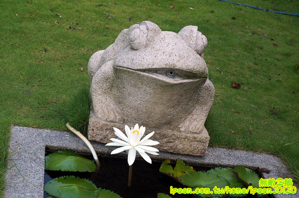 尖山埤江南渡假村：【台南-柳營區】早餐buffetx漆彈廝殺..一起來high all night~《尖山埤江南渡假村》(DAY2)