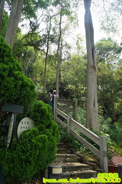 尖山埤江南渡假村：【台南-柳營區】早餐buffetx漆彈廝殺..一起來high all night~《尖山埤江南渡假村》(DAY2)