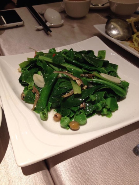 1004644_10202211938530238_601526590_n (1).jpg