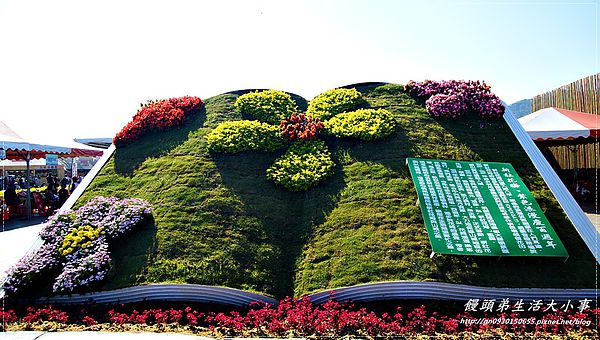 2013新社花海「花間 漫遊 樂悠遊」：【台中／新社】2013新社花海「花間 漫遊 樂悠遊」