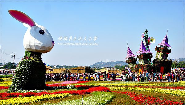 2013新社花海「花間 漫遊 樂悠遊」：【台中／新社】2013新社花海「花間 漫遊 樂悠遊」