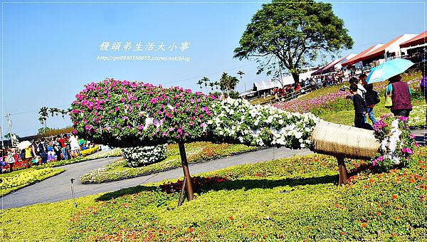 2013新社花海「花間 漫遊 樂悠遊」：【台中／新社】2013新社花海「花間 漫遊 樂悠遊」