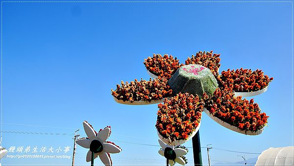 2013新社花海「花間 漫遊 樂悠遊」：【台中／新社】2013新社花海「花間 漫遊 樂悠遊」