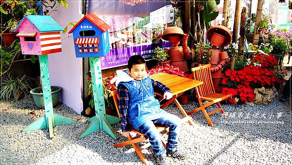 2013新社花海「花間 漫遊 樂悠遊」：【台中／新社】2013新社花海「花間 漫遊 樂悠遊」