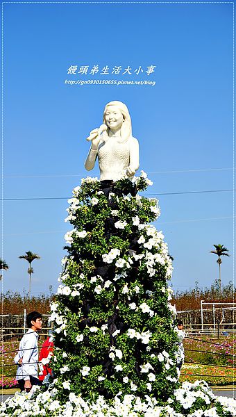 2013新社花海「花間 漫遊 樂悠遊」：【台中／新社】2013新社花海「花間 漫遊 樂悠遊」