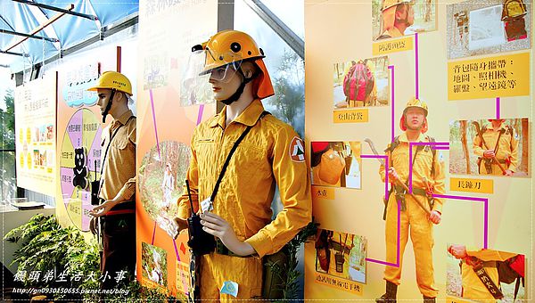 2013新社花海「花間 漫遊 樂悠遊」：【台中／新社】2013新社花海「花間 漫遊 樂悠遊」