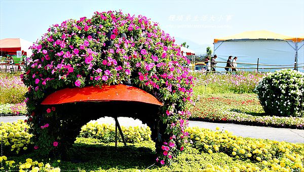 2013新社花海「花間 漫遊 樂悠遊」：【台中／新社】2013新社花海「花間 漫遊 樂悠遊」