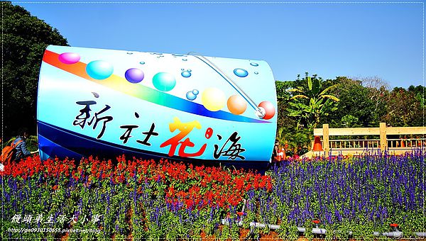 2013新社花海「花間 漫遊 樂悠遊」：【台中／新社】2013新社花海「花間 漫遊 樂悠遊」