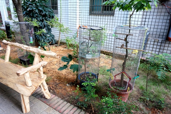 水巷覓鏡 & 水圈圈：2013桃園地景藝術節～水巷覓鏡 & 炳哥的機器人異想世界