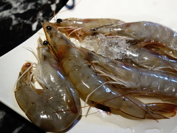 cm20140701___3e22b4c4d72729a0a945f4bf9bd