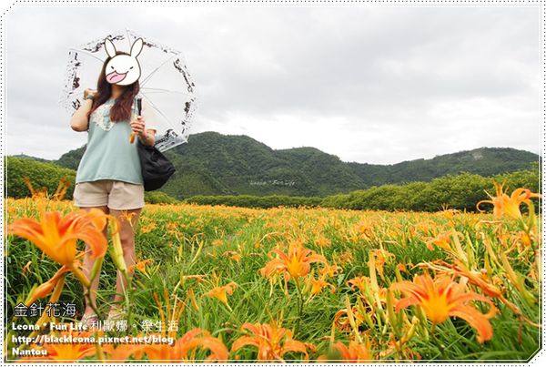 1P8297515_副本-001