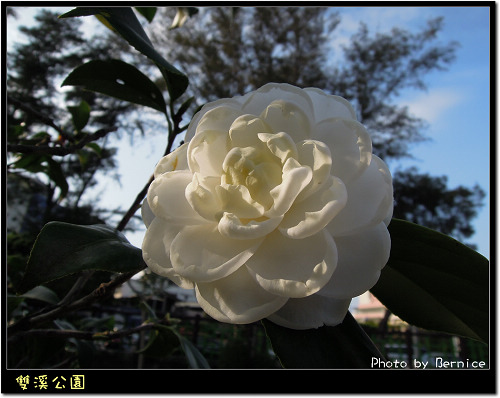 0216 1-雙溪公園08
