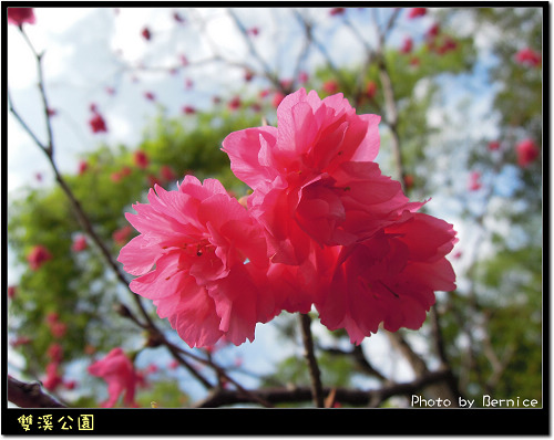 0216 1-雙溪公園02