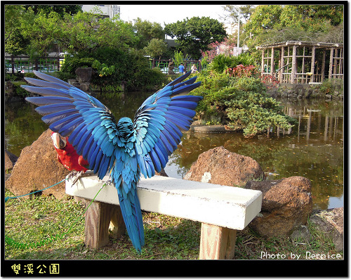 0216 1-雙溪公園13