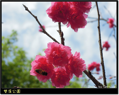 0216 1-雙溪公園03