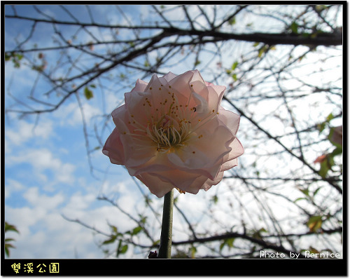 0216 1-雙溪公園05