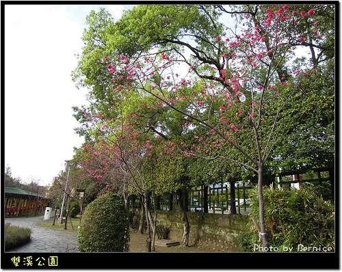 0216 1-雙溪公園01