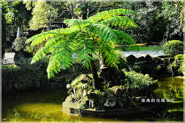 雙溪公園:【臺北】士林區。雙溪公園