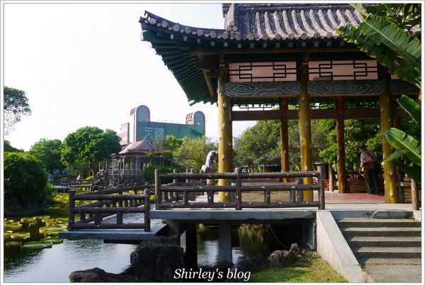 雙溪公園：雙溪公園‧大王蓮