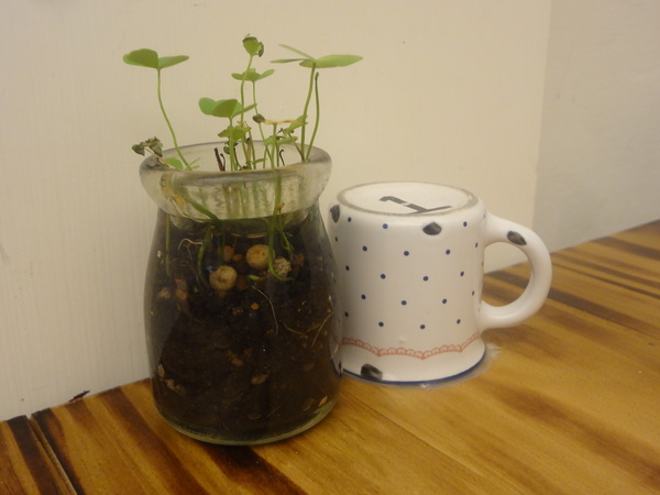 Butter巴特早午餐：1021031[官本金文愛台灣口碑券第12彈]幸運繽紛彩蛋Butter巴特早午餐彷彿在復古英式鄉村中享食彩色蛋餅及美味的海鮮總匯軟法堡