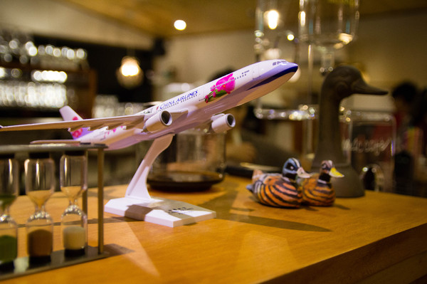 DUCK DOCK飛行碼頭：宜蘭梅花湖 DUCK DOCK飛行碼頭