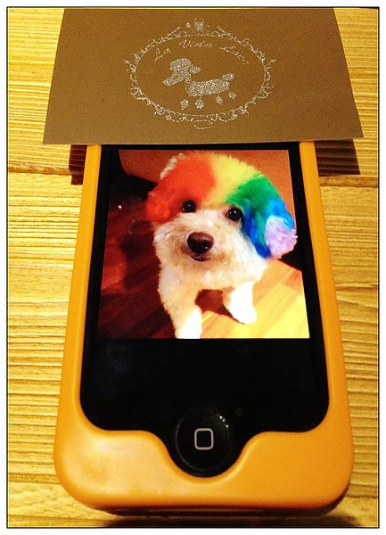 La Vida Loca 瘋狂人生