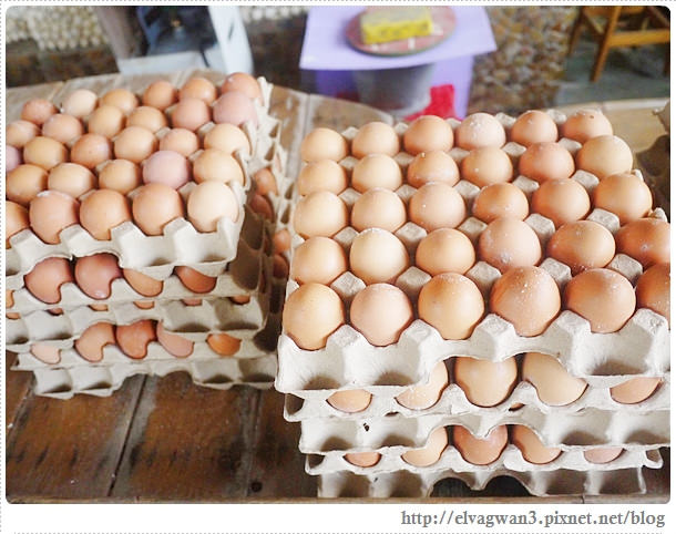 台南-北門-錢來也雜貨店-王子變青蛙-25-430-1