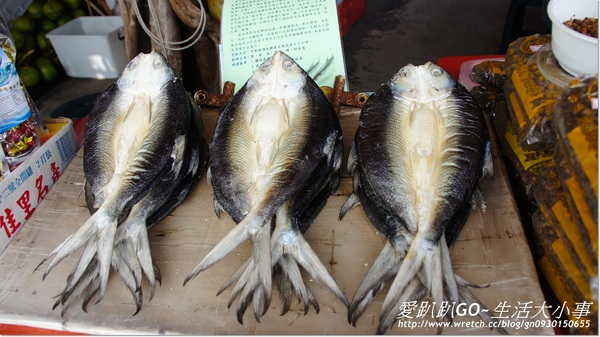 井仔腳瓦盤鹽田：【台南/北門區】哇!!有看過這麼大顆的鹽田嗎~井仔腳瓦盤鹽田