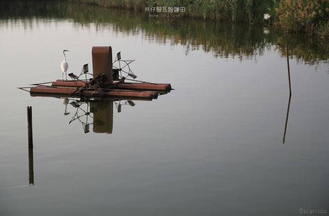 井仔腳瓦盤鹽田-21