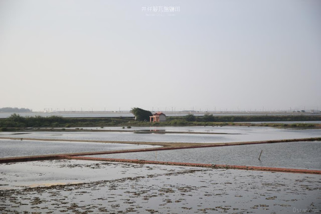 井仔腳瓦盤鹽田-33