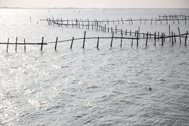 井仔腳瓦盤鹽田-18