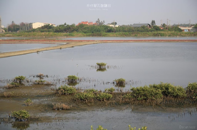 井仔腳瓦盤鹽田-14