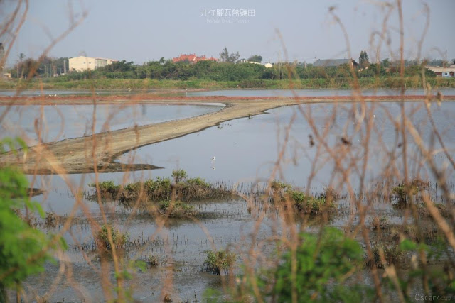 井仔腳瓦盤鹽田-15