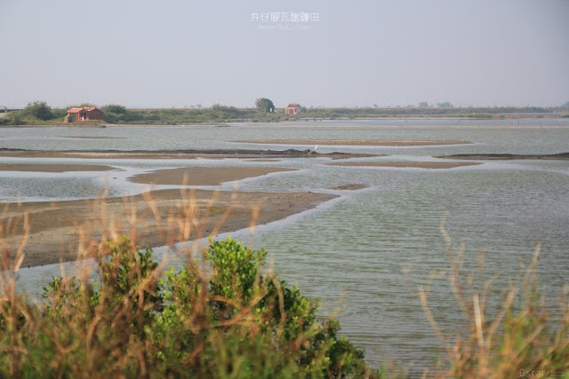 井仔腳瓦盤鹽田-13