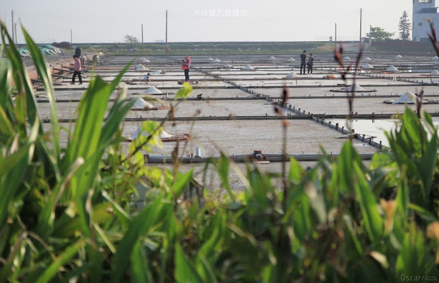 井仔腳瓦盤鹽田-23