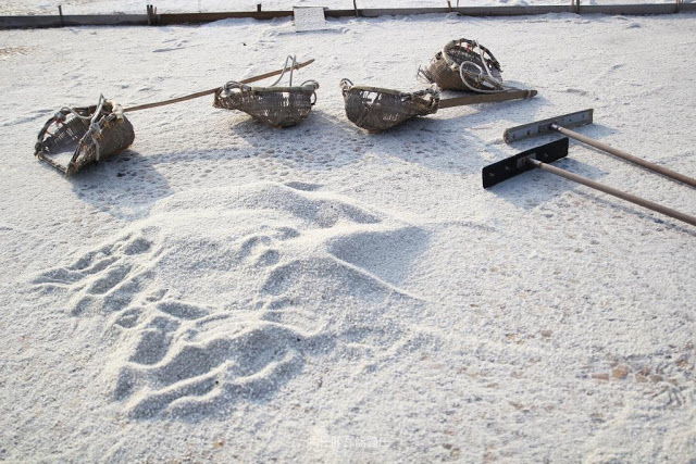 井仔腳瓦盤鹽田-6